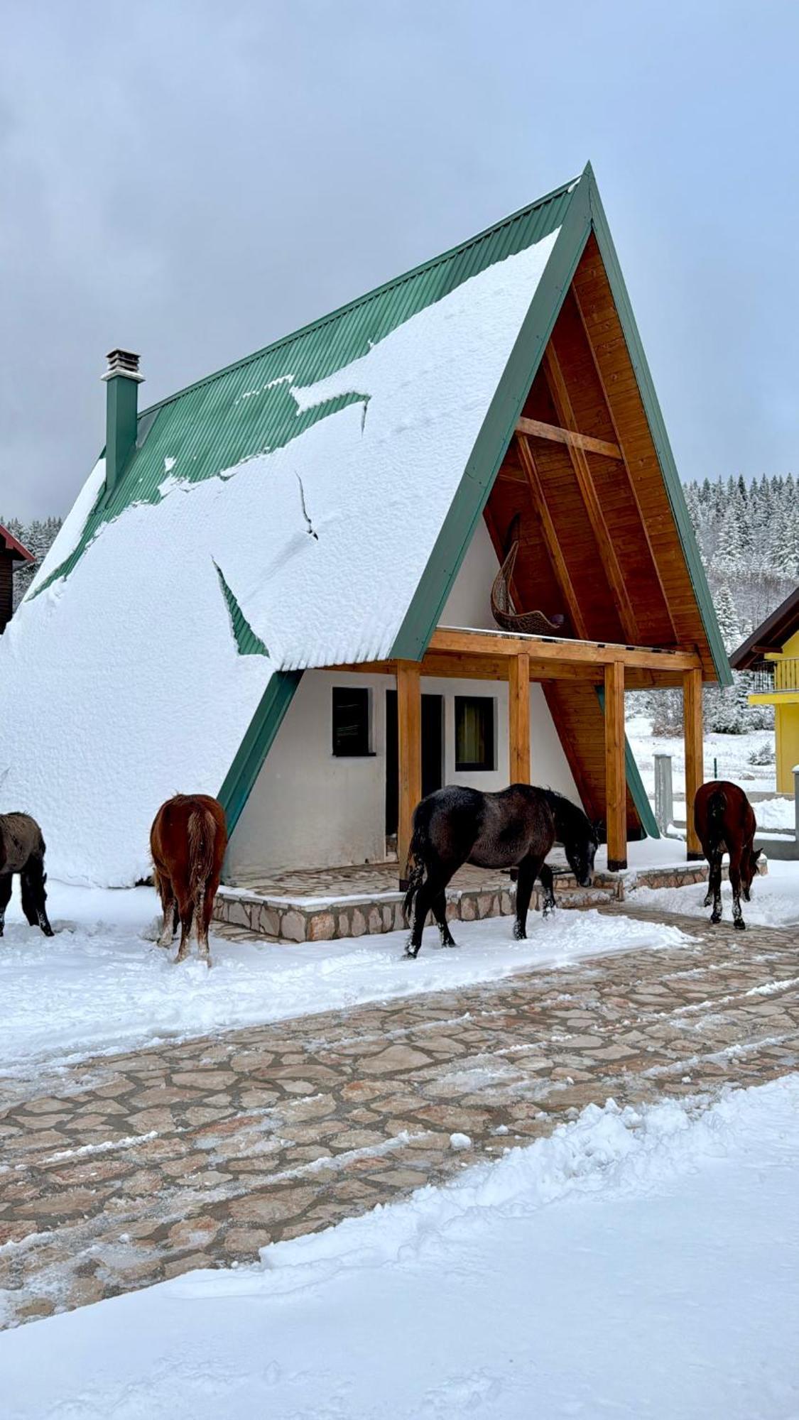 Woodside Zabljak Zewnętrze zdjęcie